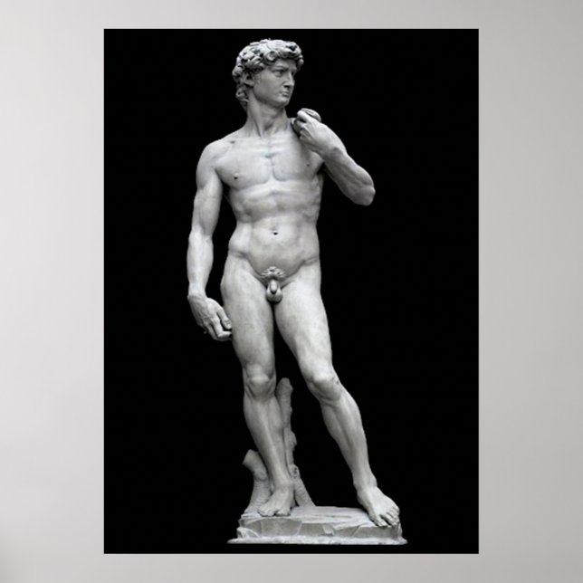 THE DAVID POSTER (Front)