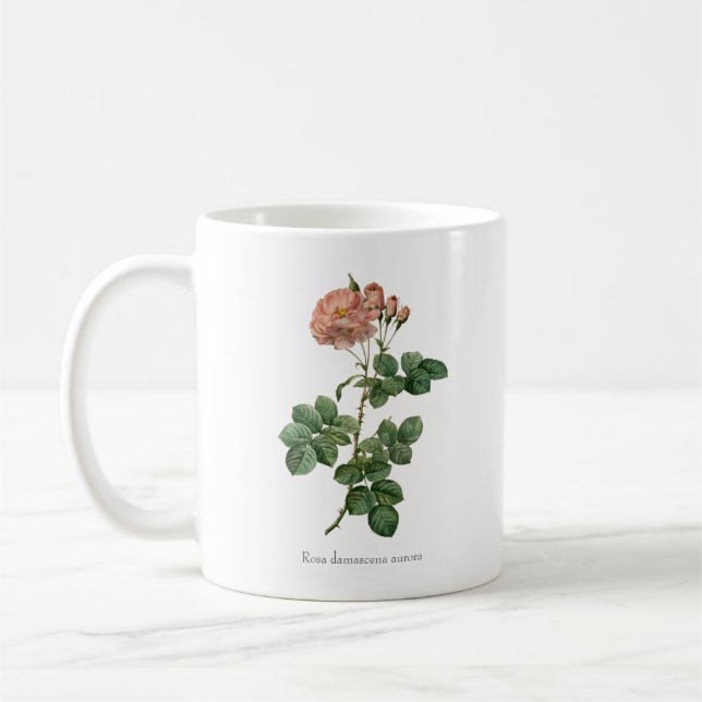 The Dawn's Blush: Rosa damascena 'Aurora' Mug (Left)