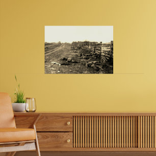 The Dead of Antietam 1862 Civil War Sepia Poster
