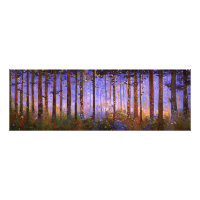 The Deer’s Secret Path - Wide Woodland Landscape