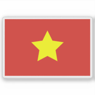 The Democratic Republic of Vietnam flag ('45–'55)