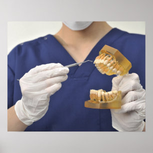 The dentist explained with a dental model poster