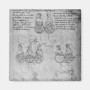 The Descendants of Countess Anne, c.1483 Magnet
