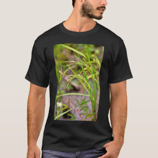 The developing ear of rice, a symbol of fertility T-Shirt