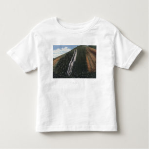 The Devil's Slide near Utah-Wyoming Border Toddler T-Shirt