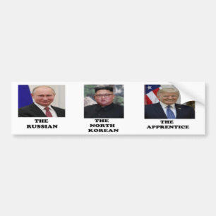 The Dictators Bumper Sticker