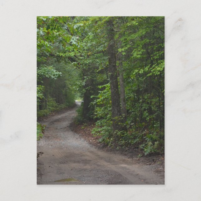The Dirt Road in summer Postcard (Front)