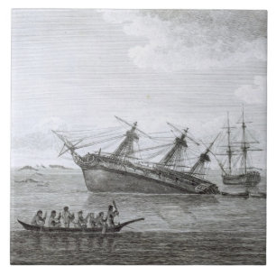 The Discovery on the Rocks in Queen Charlotte's So Tile