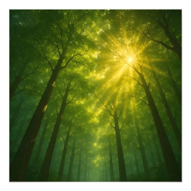 The Divine Light Path: Cathedral of the Emerald Fo Photo Print (Front)