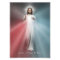 The Divine Mercy Image 13x19 Photo Print