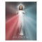 The Divine Mercy Image 13x19 Photo Print