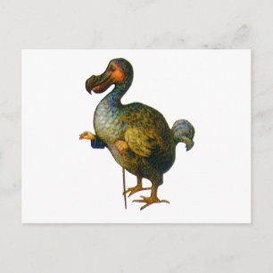 The Dodo Bird Postcard