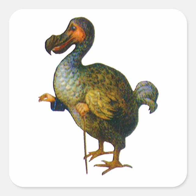 The Dodo Bird Square Sticker (Front)