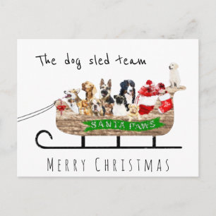 The dog sled team dog santa sleigh merry christmas postcard