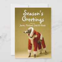 The dog wears Father Christmas's clothes 2