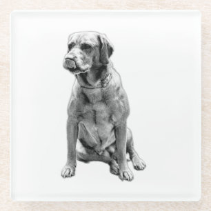 The Dog Who Never Leaves Glass Coaster