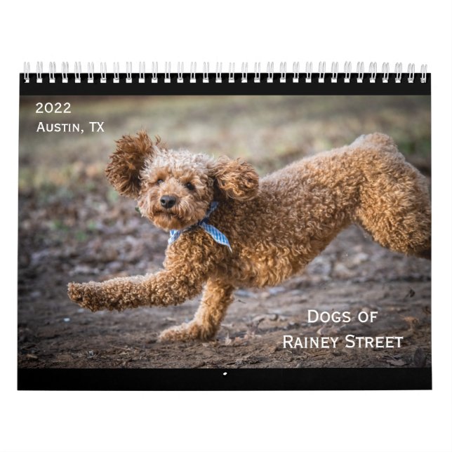 The Dogs of Rainey Street Calendar (Cover)