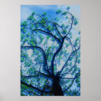 The Dogwood Rendition III Poster