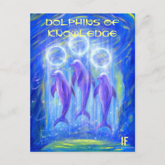 The Dolphins of Knowledge by Mike Winterbauer Postcard