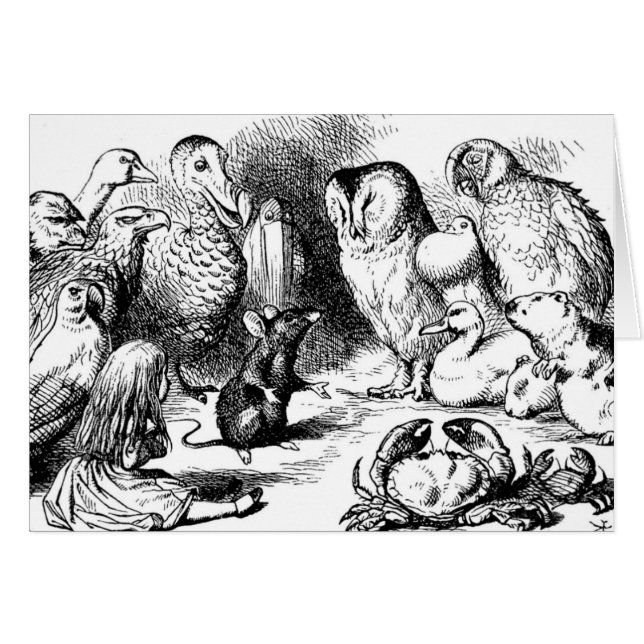 The Dormouse Tells a Story (Front Horizontal)