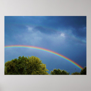 THE DOUBLE RAINBOW print