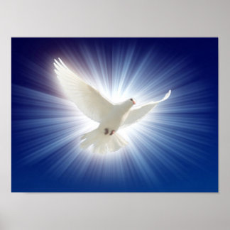 the dove in light poster