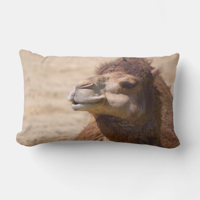 The dromedary camel - Pillow (Front)