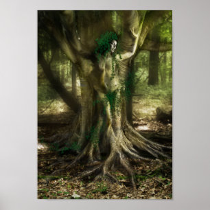 The Dryad Poster