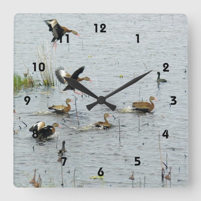 The ducks Acrylic Wall Clock (Front)