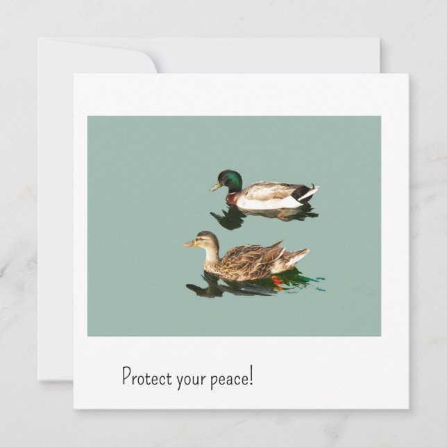 The ducks. Protect your peace (Front)