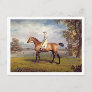 The Duke of Hamilton's Disguise with Jockey Up (oi Postcard