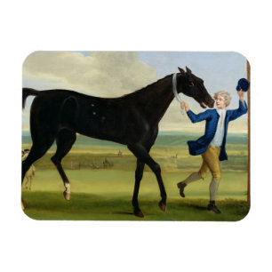 The Duke of Rutland's 'Bonny Black', c.1720 (oil o Magnet