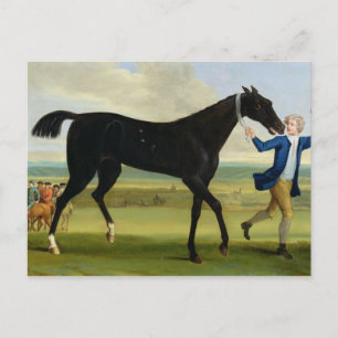 The Duke of Rutland's 'Bonny Black', c.1720 (oil o Postcard
