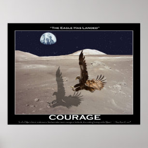 THE EAGLE HAS LANDED ~ Art Poster