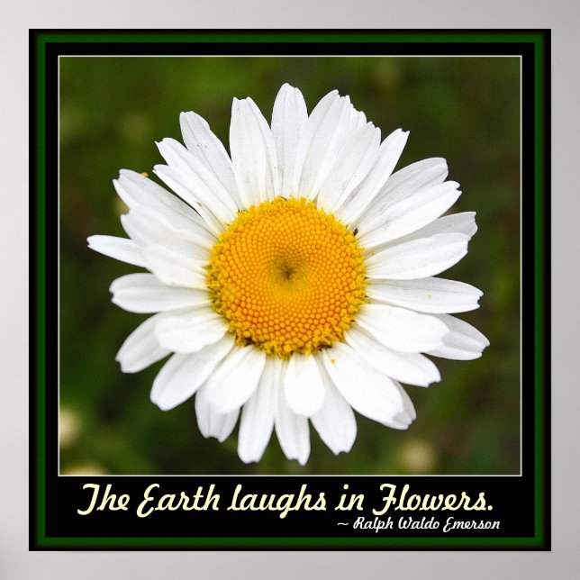 The Earth Laughs in Flowers Poster (Front)