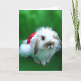 The Easter, Umm, Christmas Bunny Holiday Card