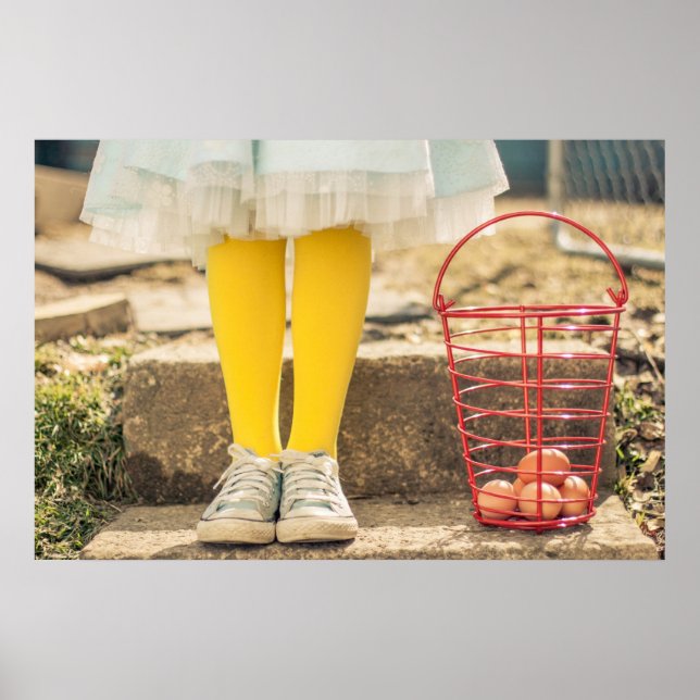 The Egg Collector Poster (Front)