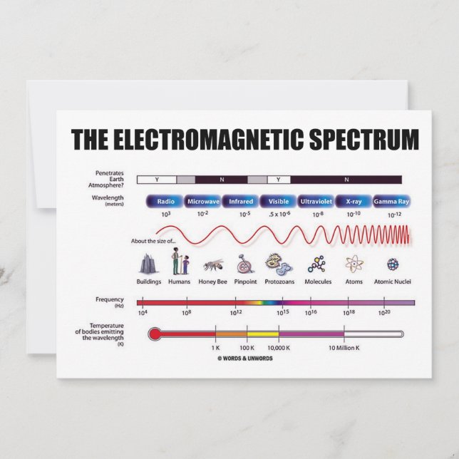 The Electromagnetic Spectrum (Physics) Invitation (Front)