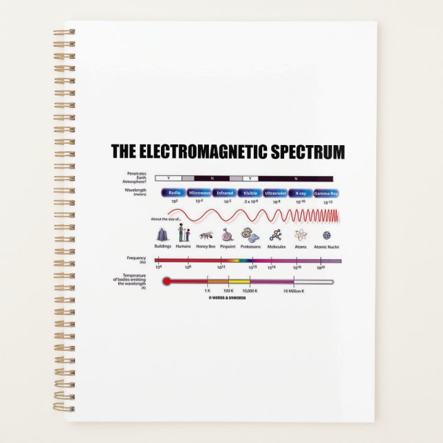 The Electromagnetic Spectrum Physics Wavelengths Planner (Front)