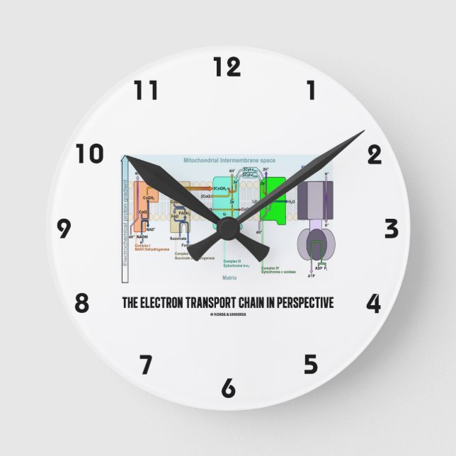 The Electron Transport Chain In Perspective Round Clock (Front)