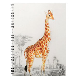 The Elegant Giraffe Notebook