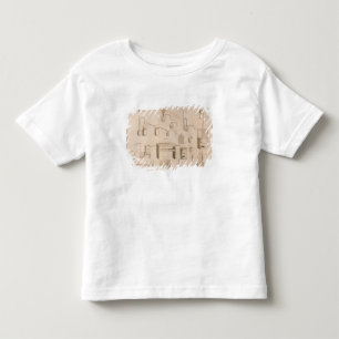 The Elements of Chemistry' Toddler T-Shirt