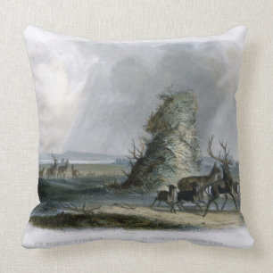 The Elkhorn Pyramid on the Upper Missouri, plate 2 Cushion