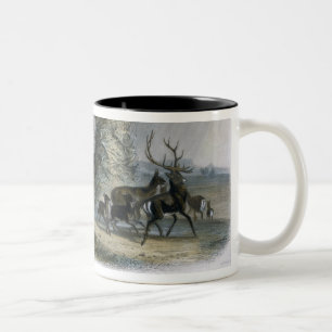 The Elkhorn Pyramid on the Upper Missouri, plate 2 Two-Tone Coffee Mug