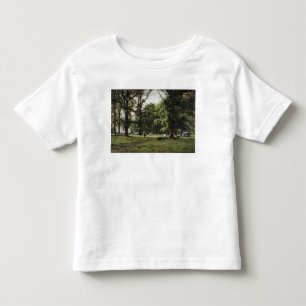 The Elm Walk Toddler T-Shirt