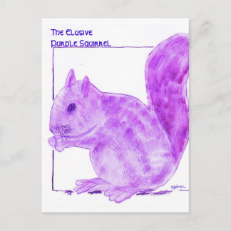 The Elusive Purple Squirrel Postcard