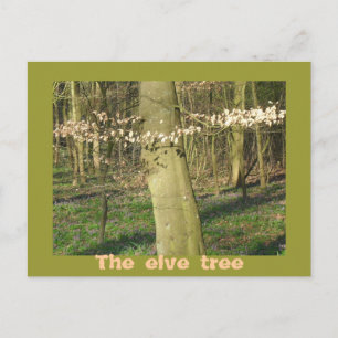 The elve tree postcard