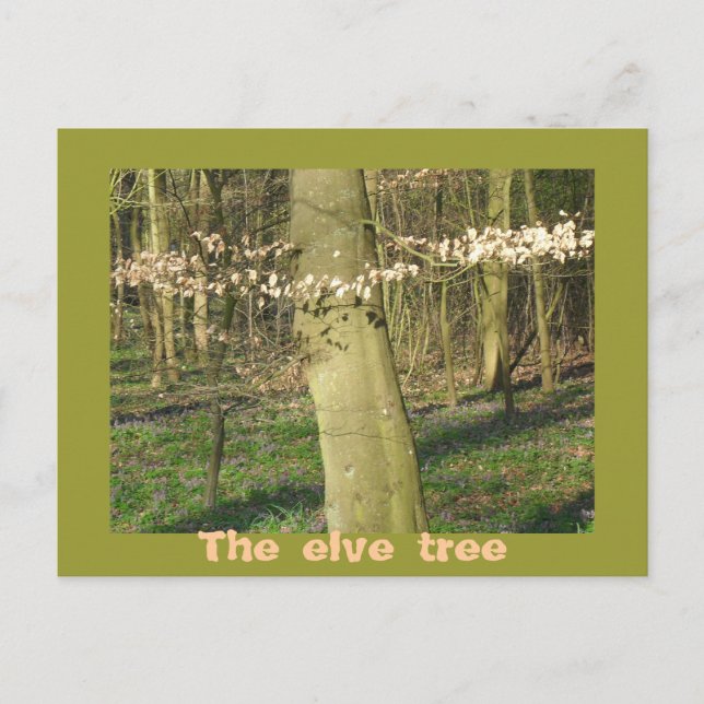 The elve tree postcard (Front)