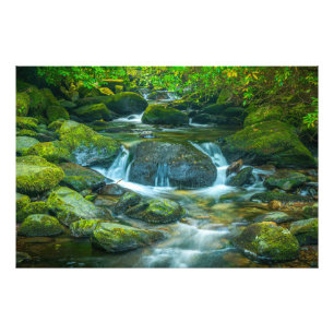 The Emerald Flow of the Irish Brook Photo Print