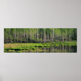 The Emerald Forest Poster